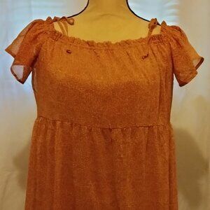 Lined Chiffon dress by Xhilaration